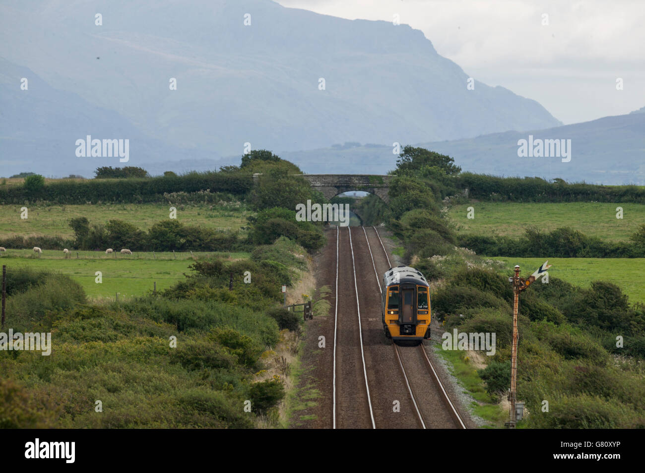 A class 158 DMU heads across Anglesey bound for Holyhead. The mountains of Snowdonia are visible in background. Stock Photo