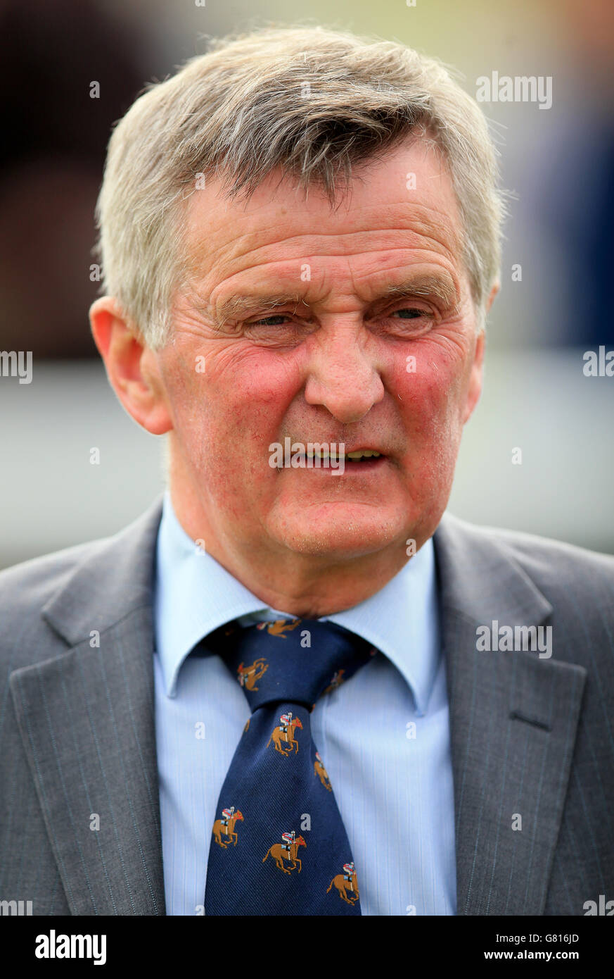 Horse Racing - 2015 Dante Festival - Betfred Yorkshire Cup - York Racecourse Stock Photo