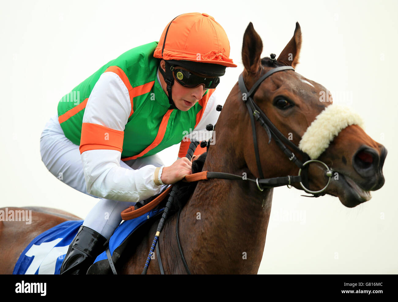 Horse Racing - 2015 Dante Festival - Betfred Yorkshire Cup - York Racecourse Stock Photo