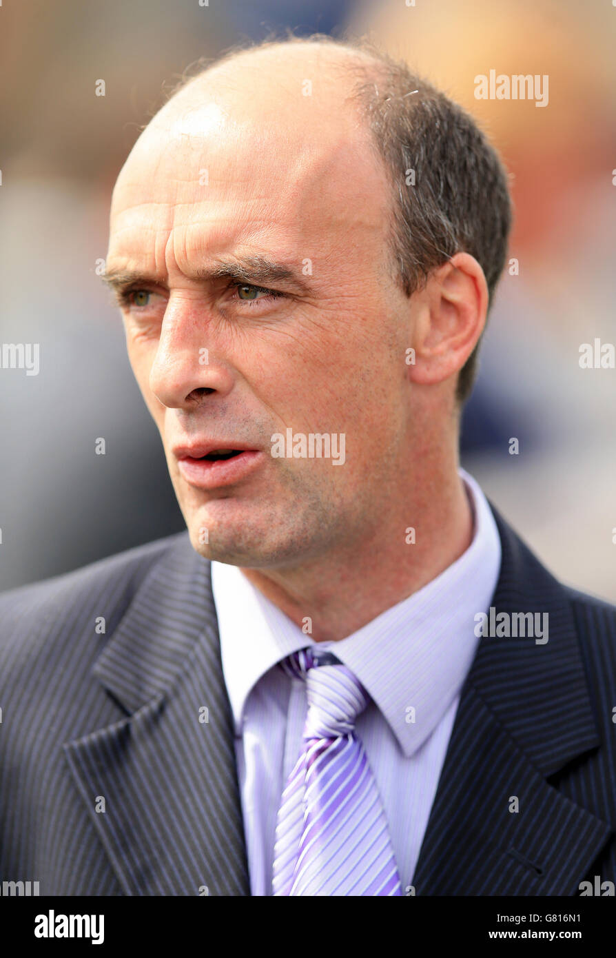 Horse Racing - 2015 Dante Festival - Betfred Yorkshire Cup - York Racecourse Stock Photo