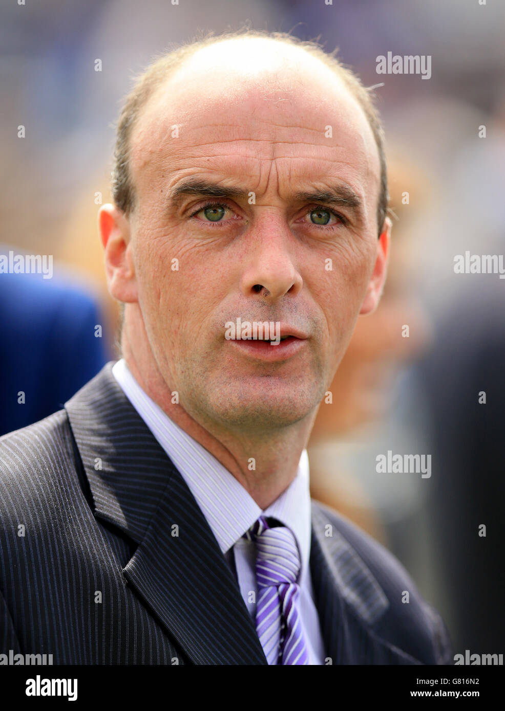Horse Racing - 2015 Dante Festival - Betfred Yorkshire Cup - York Racecourse Stock Photo