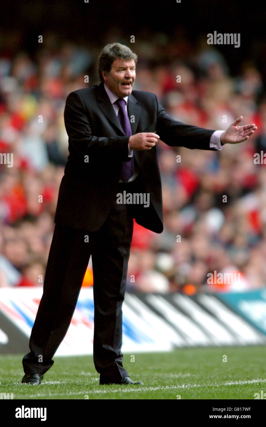 Soccer FIFA World Cup 2006 Qualifier Group Six Wales v Austria