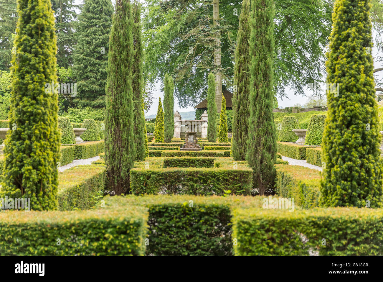 Green symmetry Stock Photo