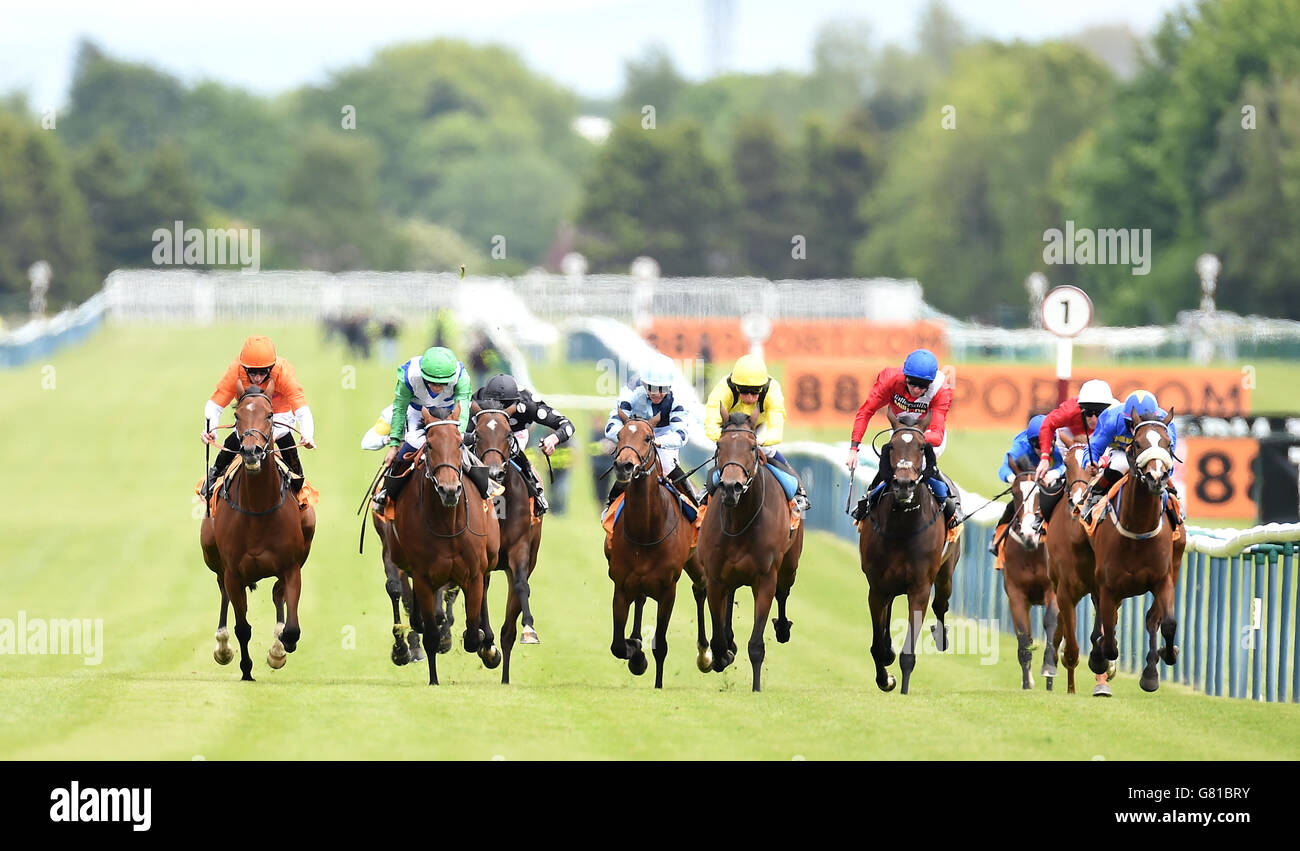 Horse Racing - Timeform Jury/Sandy Lane Stakes Day - Haydock Park. Miss Marjurie (left) ridden by Paul Hanagan wins the 888sport Pinnacle Stakes at Haydock Park Racecourse, Newton-le-Willows. Stock Photo