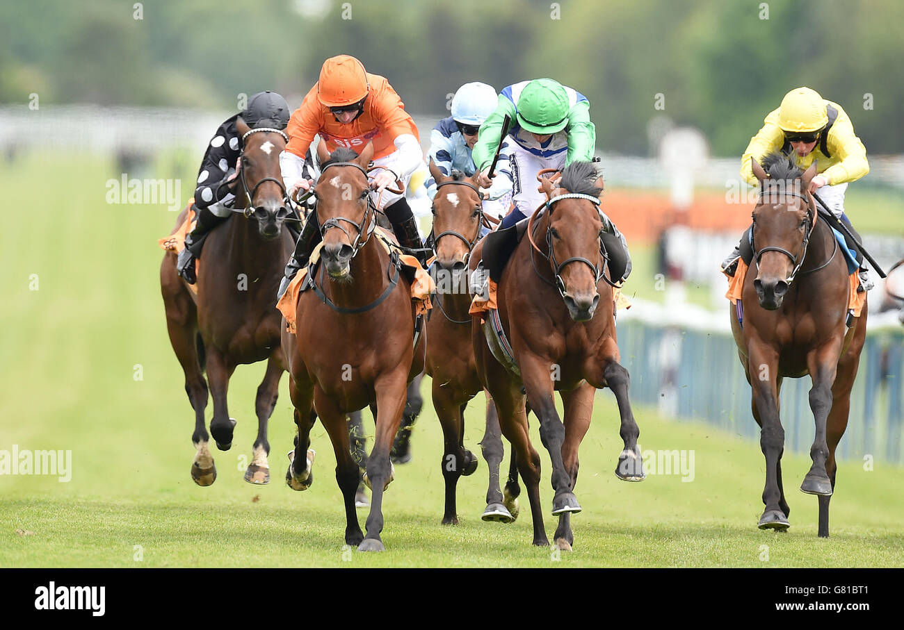 Horse Racing - Timeform Jury/Sandy Lane Stakes Day - Haydock Park. Miss Marjurie (left) ridden by Paul Hanagan wins the 888sport Pinnacle Stakes at Haydock Park Racecourse, Newton-le-Willows. Stock Photo