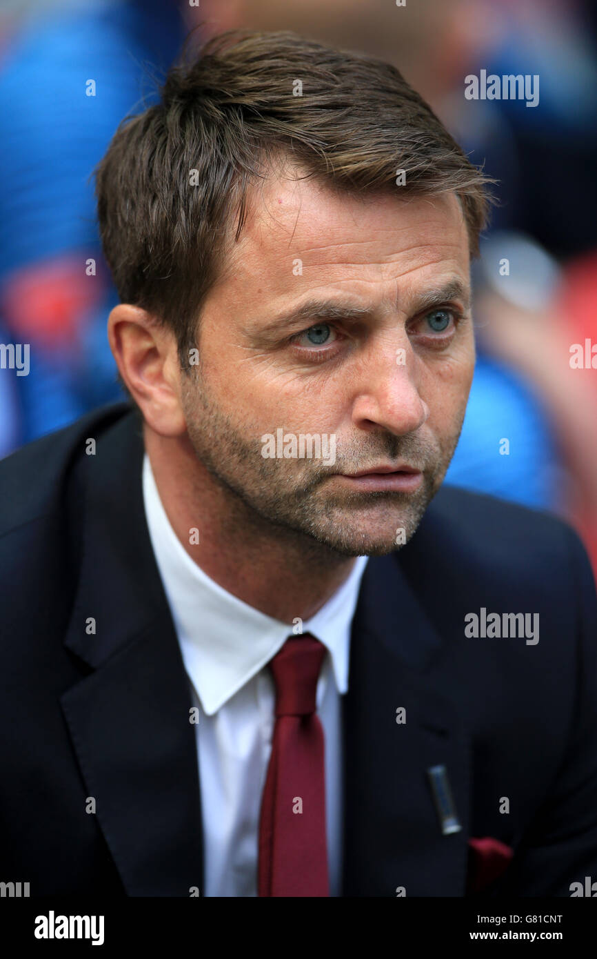 Aston Villa manager Tim Sherwood before the FA Cup Final at Wembley Stadium, London. PRESS ASSOCIATION Photo. Picture date: Saturday May 30, 2015. See PA Story SOCCER FA Cup. Photo credit should read: Nick Potts/PA Wire. Stock Photo