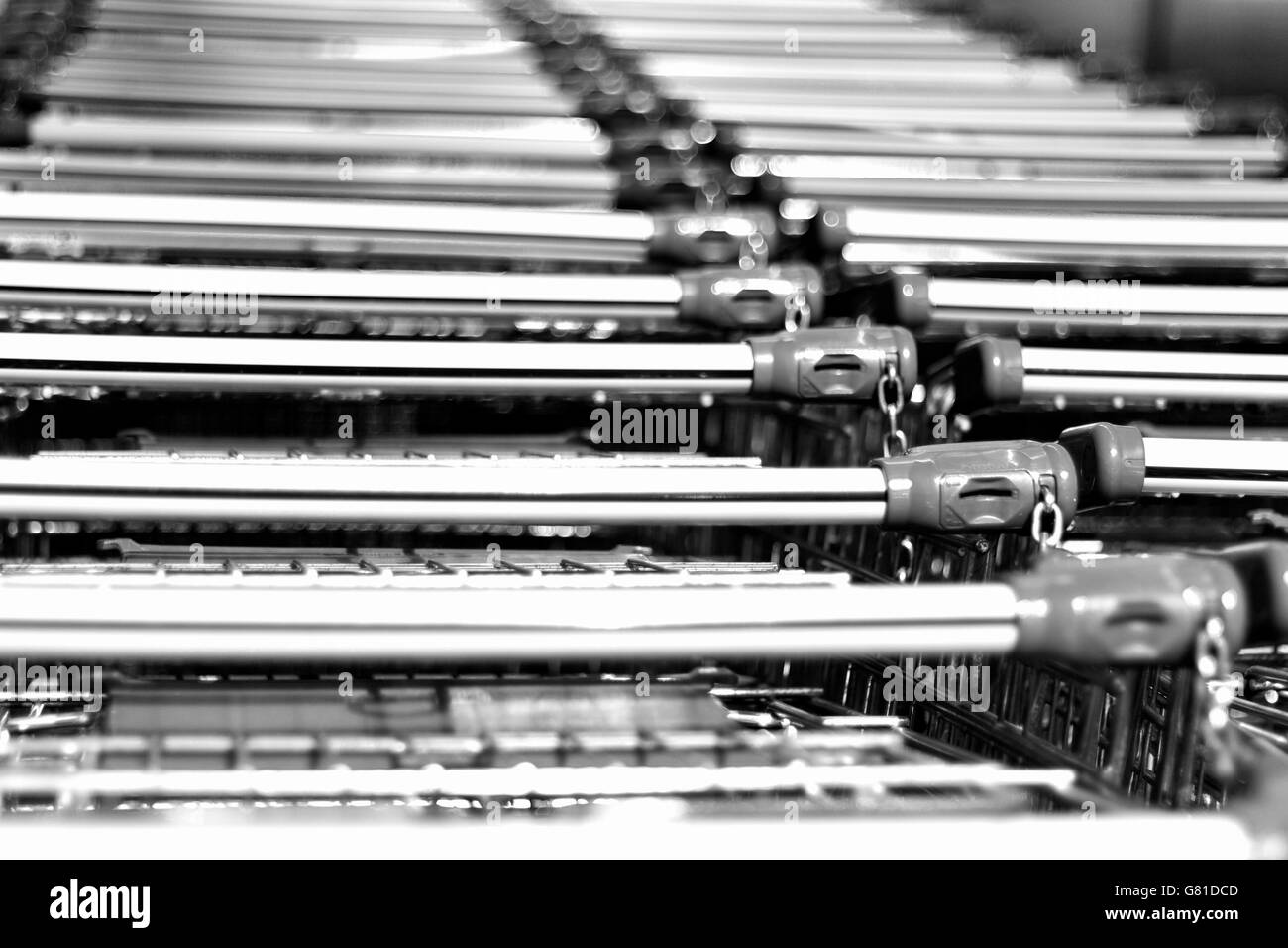 Bunch of shopping carts pulled up together in stack Stock Photo Alamy