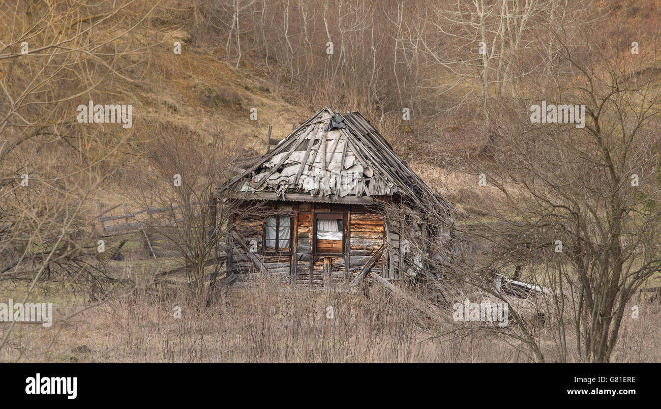 Old abandoned wooden house in the middle of the nature Stock Photo - Alamy