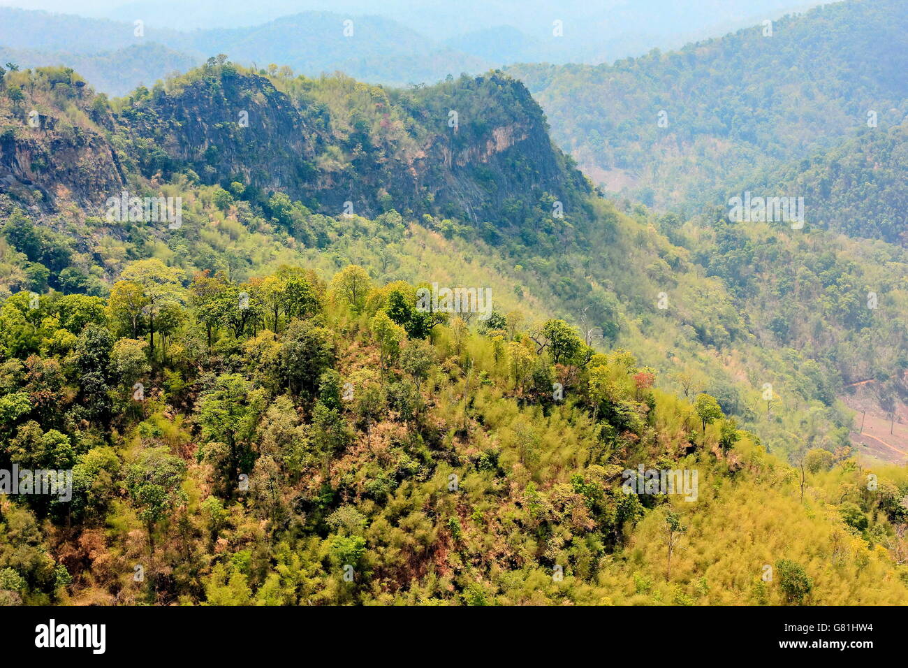 aerial view of the forest Stock Photo - Alamy