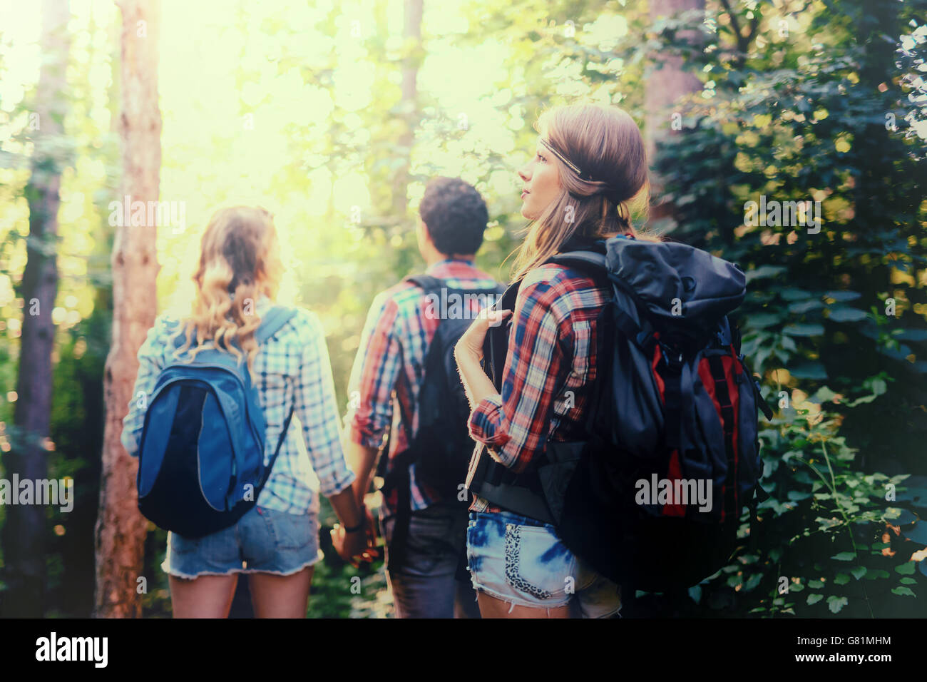 People exploring forest as recreation Stock Photo - Alamy