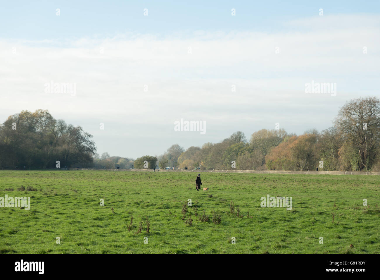 Richmond Park, London, UK Stock Photo Alamy