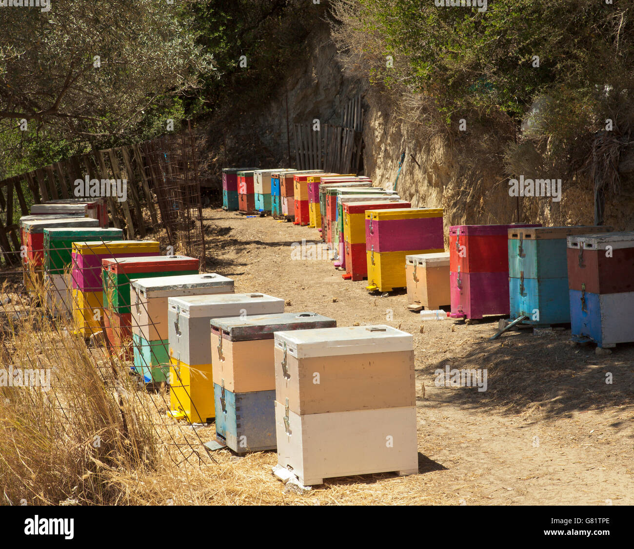 Rows of beehives, in Crete, Greece. Stock Photo
