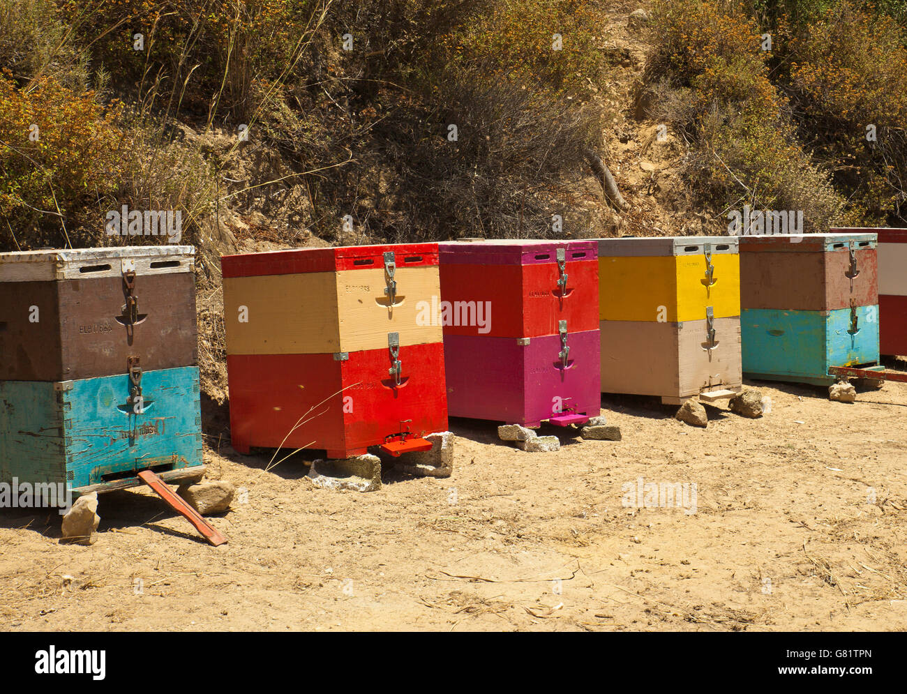 Row of beehives, in Crete, Greece. Stock Photo