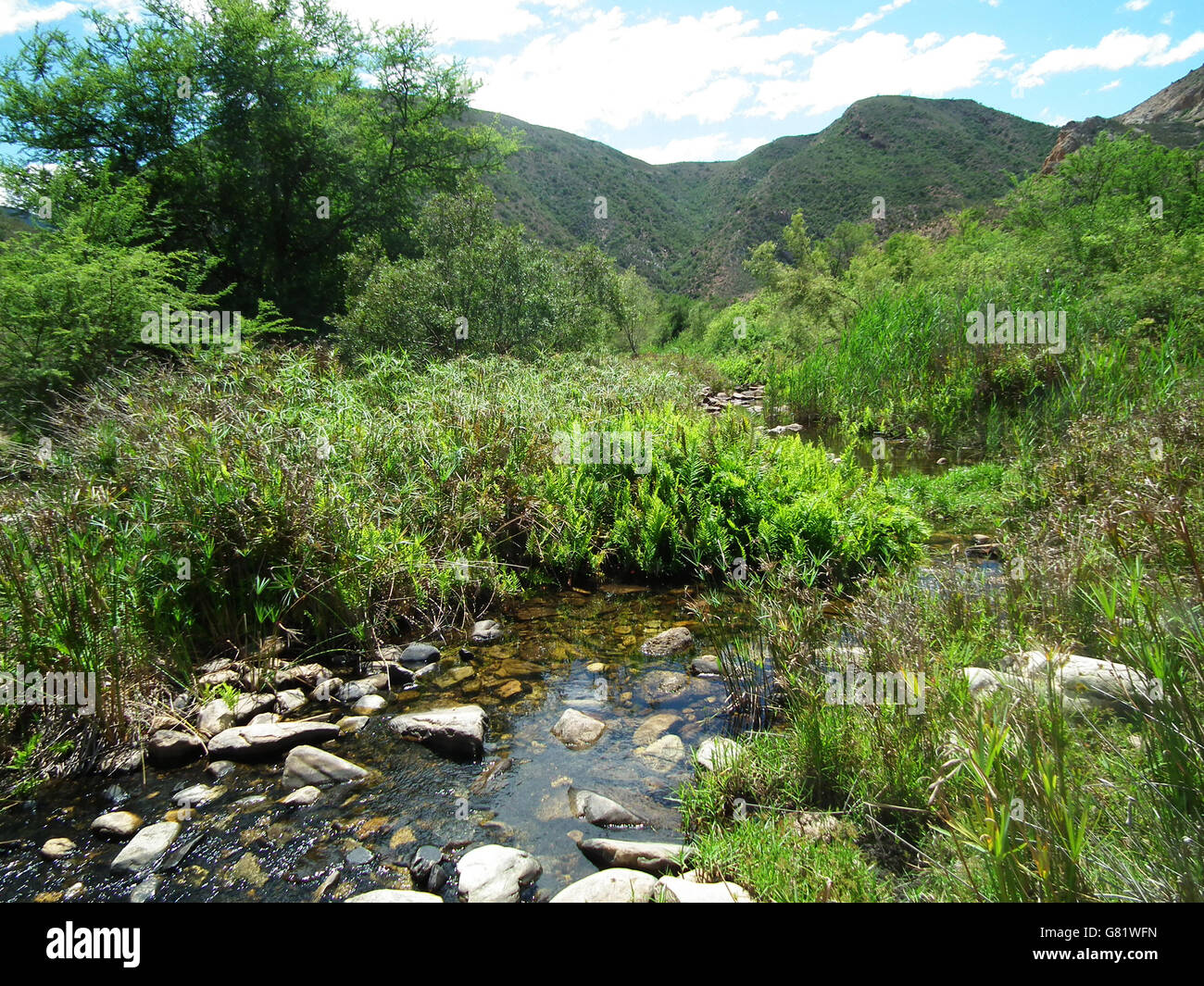 Baviaanskloof nature reserve hires stock photography and images Alamy