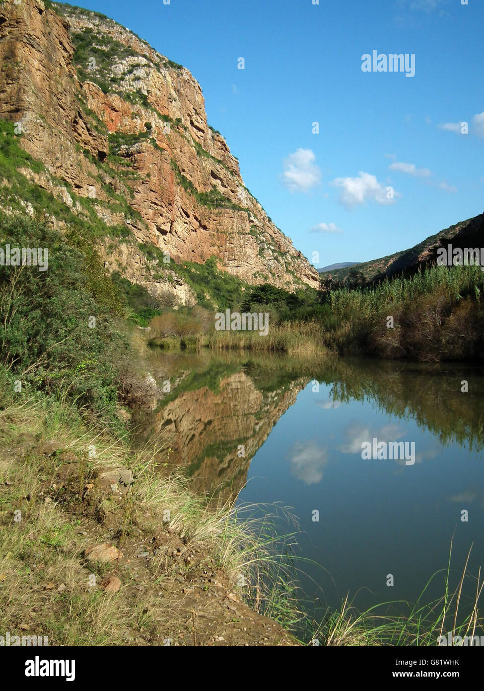 Lake, Vegetation and mountain, Baviaanskloof Mega Reserve, Eastern Cape; South Africa, December 2010 Stock Photo