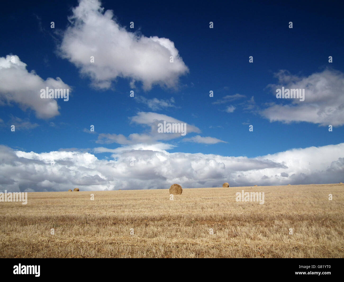 Haystacks in Overberg wheatfield, Western Cape; South Africa; 2012 Stock Photo