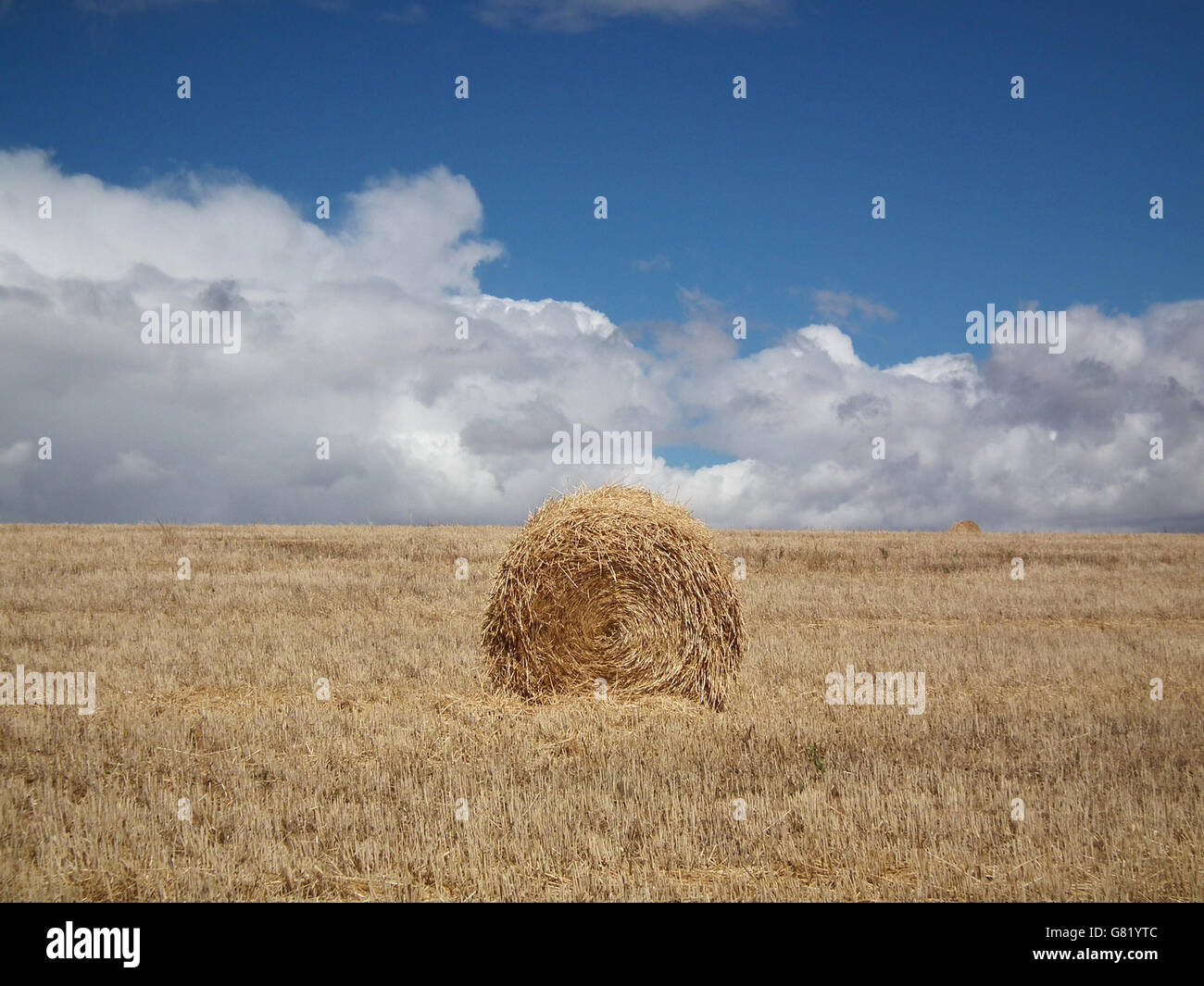 Haystack in Overberg wheatfield, Western Cape; South Africa; 2012 Stock Photo