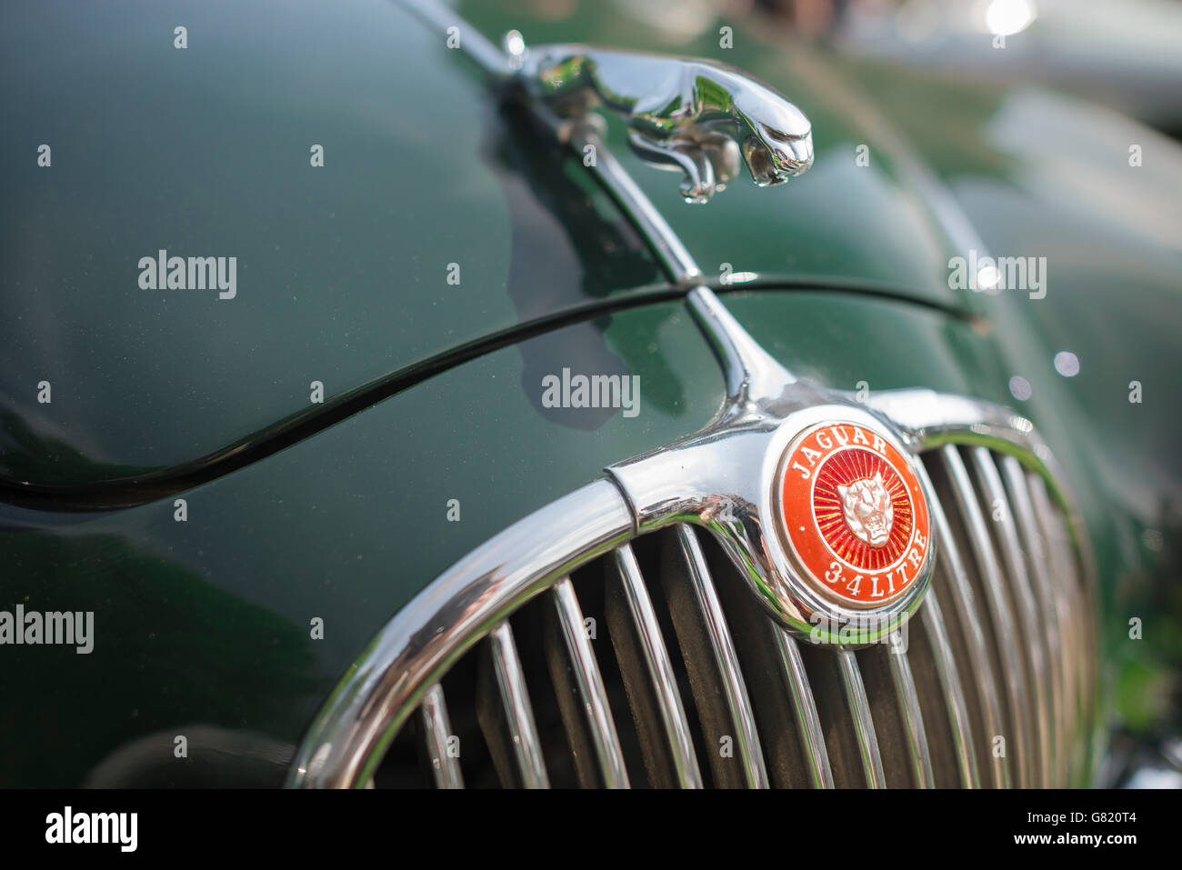 Detail of the front of a 1950s  green Jaguar 3.4 litre sports car. Stock Photo