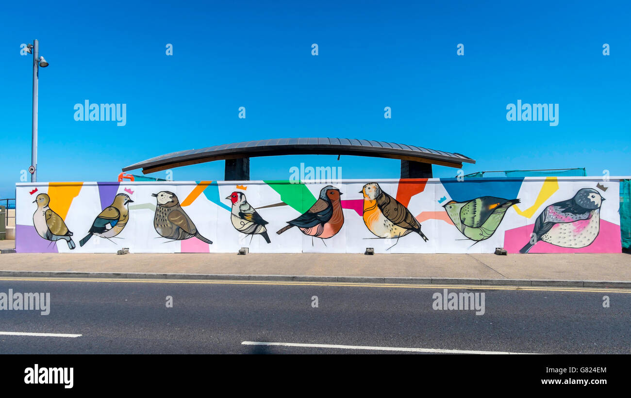 A bird mural on a hoarding around a damaged shelter Redcar Cleveland  North Yorkshire  England UK pjphoto59 Stock Photo