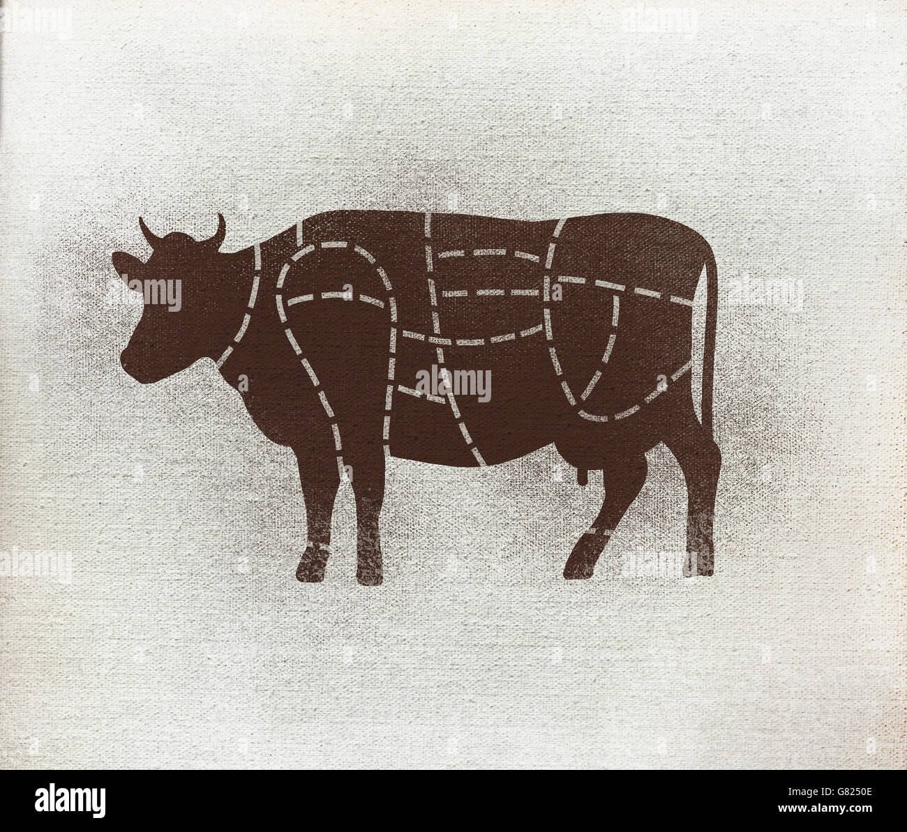 Butcher's diagram of cow against white background Stock Photo