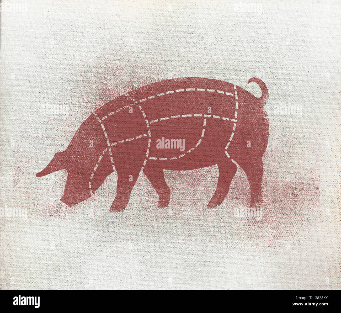 Butcher's diagram of pig against white background Stock Photo