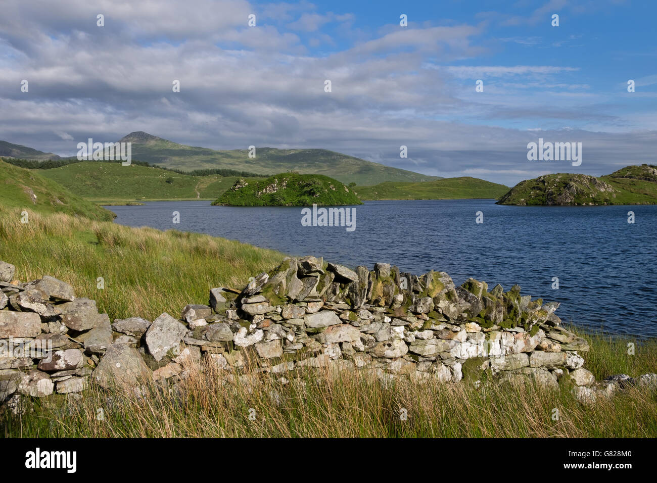 LlynyDywarchen in Snowdonia National Park, North Wales Stock Photo