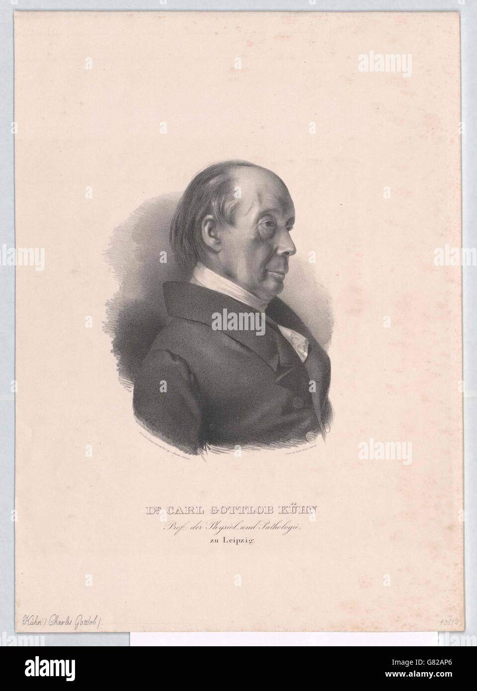 Kühn, Karl Gottlob Stock Photo Alamy