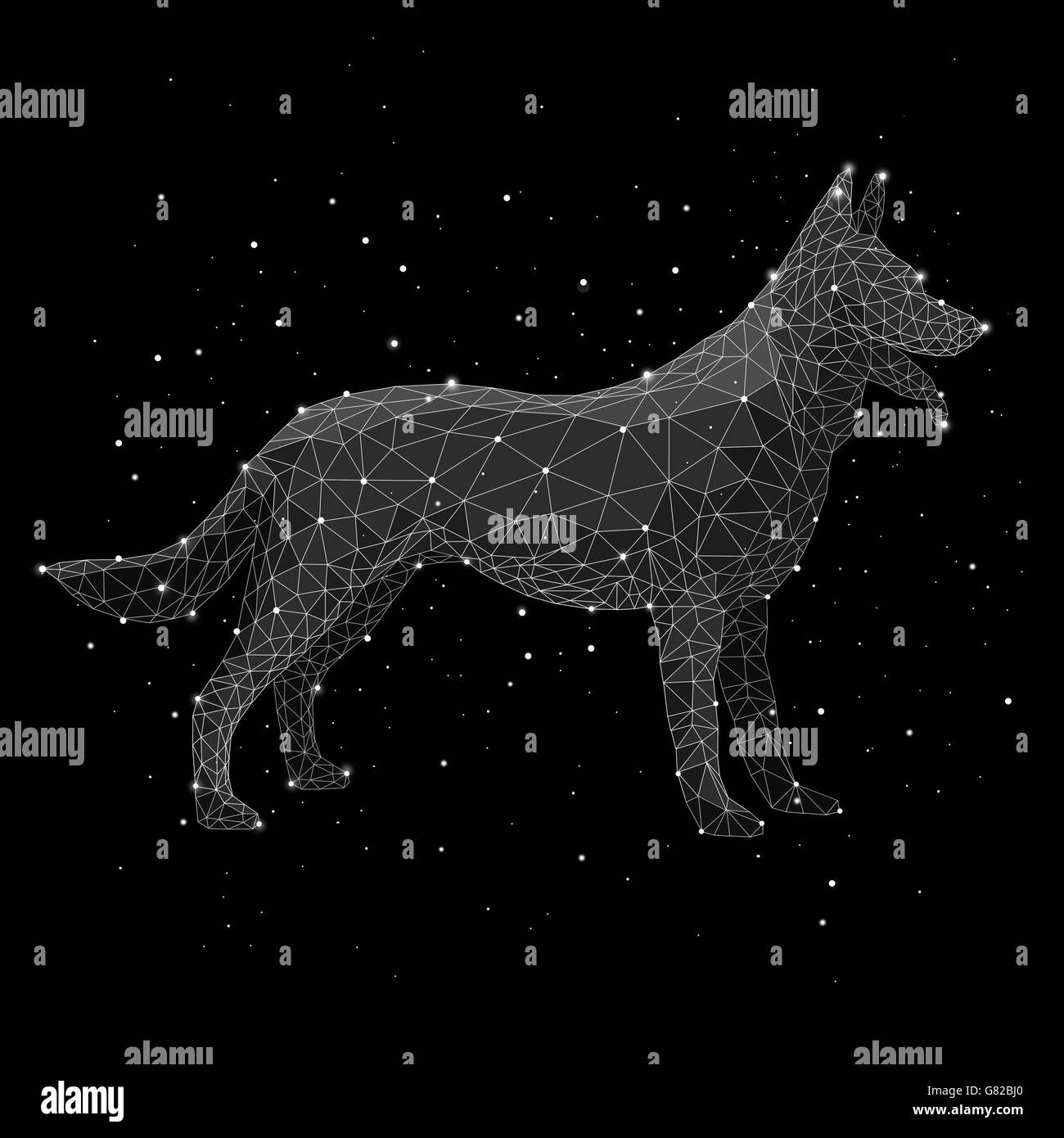 Digital composite image of constellation forming wolf against black background Stock Photo