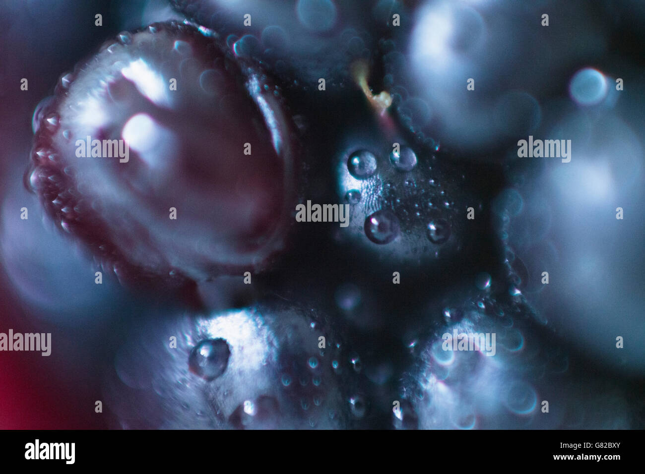 Extreme close up fruit hi-res stock photography and images - Alamy
