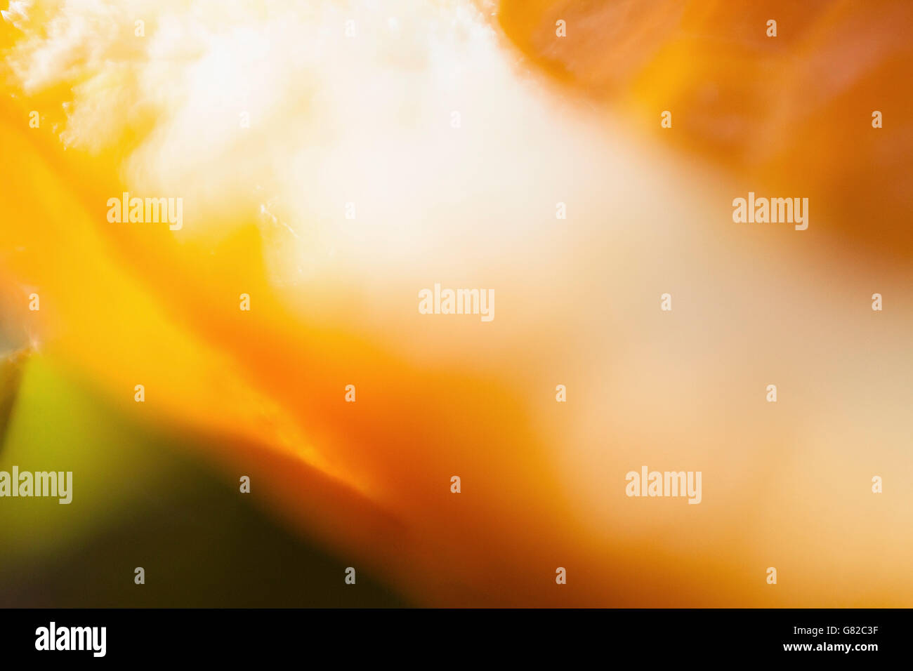 Close up of orange hi-res stock photography and images - Alamy
