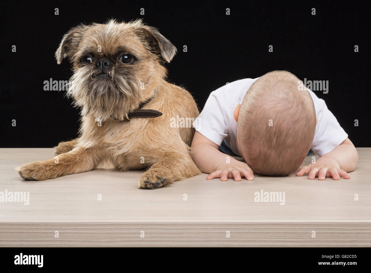 Boy sleeping with head down by dog on table against black background Stock Photo