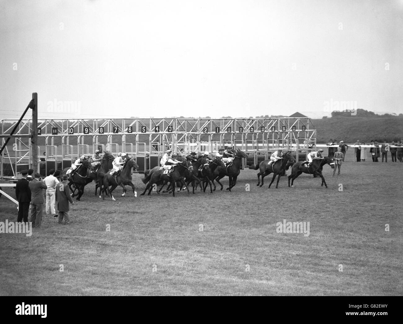 Horse Racing First Use of Starting Stalls Chesterfield Stakes Stock