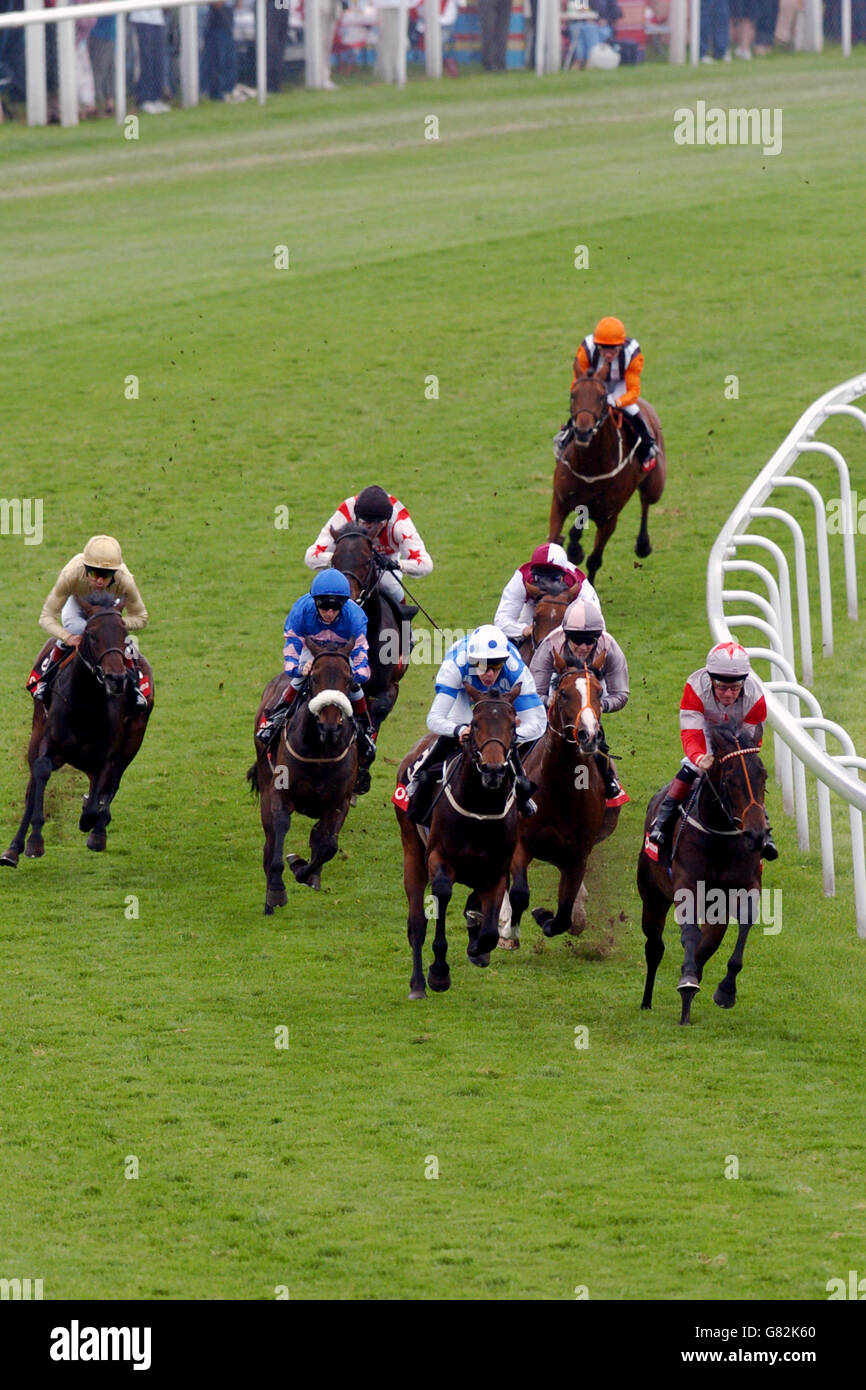 Horse racing epsom races the vodafone woodcote stakes hires stock