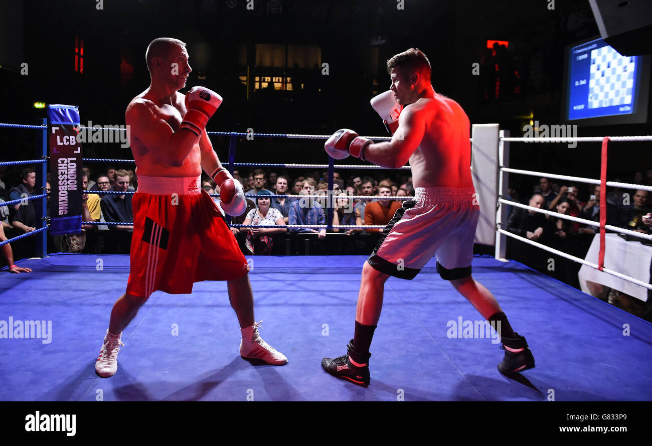 Sport - London Chessboxing Grandmaster Bash! - Scala. A girl carries round  a Round 1 sign ringside at the London Chessboxing Grandmaster Bash at  Scala, London Stock Photo - Alamy