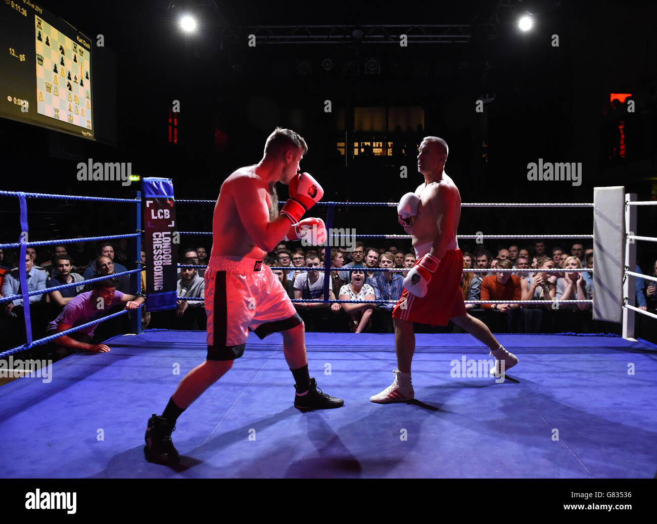 Chessboxing match at the intellectual fight club in Berlin Stock Photo -  Alamy