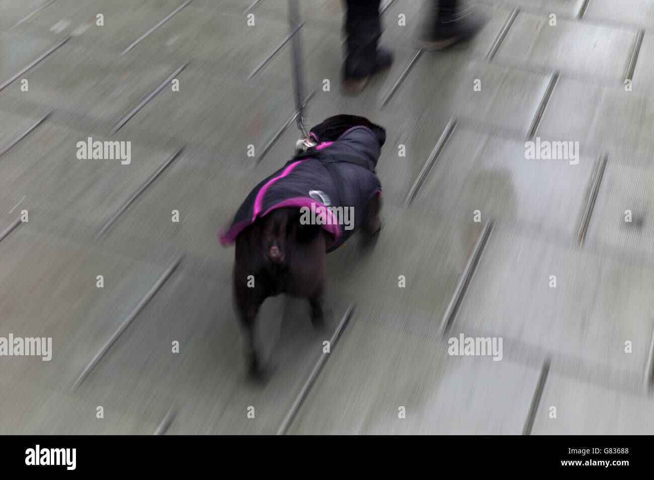Reflection on wet pavement hires stock photography and images Alamy