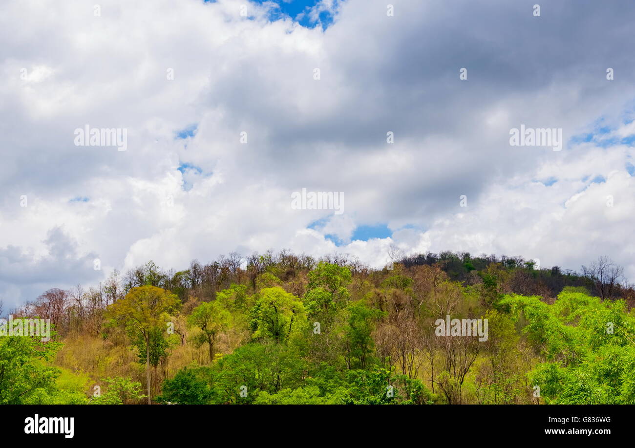 blue sky with cloud closeup over hill Stock Photo - Alamy