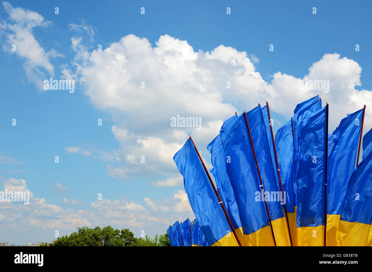 Ukrainian flags Stock Photo