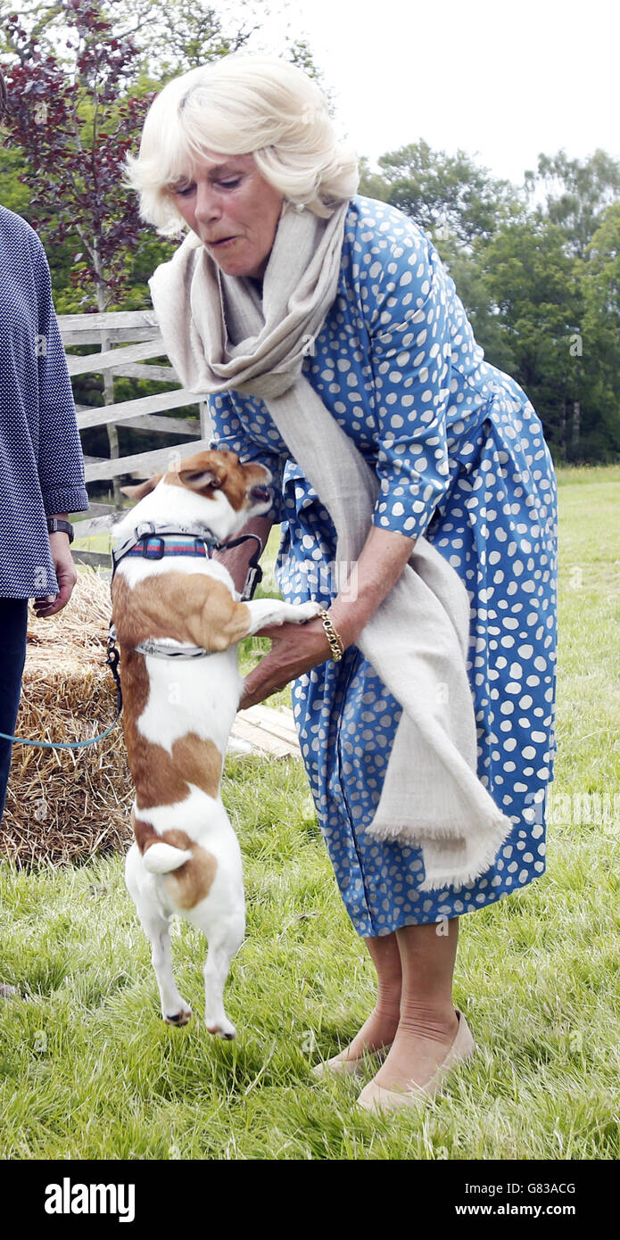 The Duchess of Rothesay with her dog Bluebell, during the inaugural