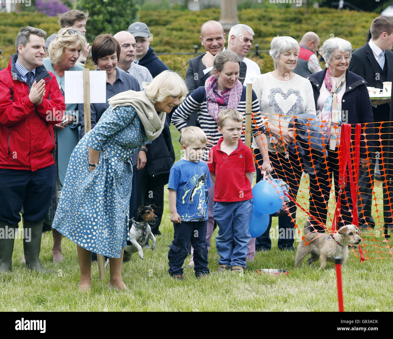 During the inaugural dumfries house dog show at dumfries house hires