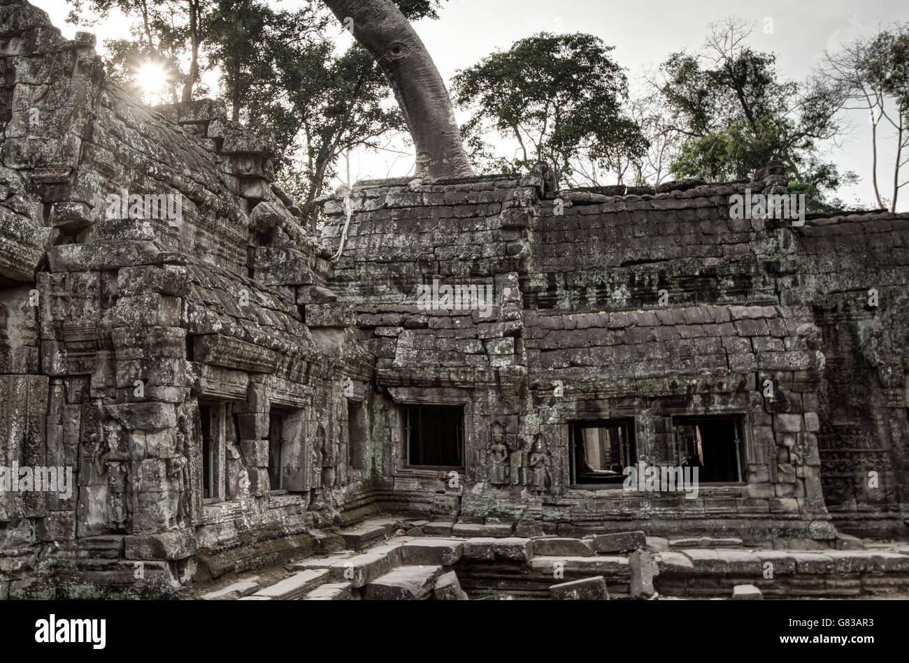 Angor Ta Prohm Khmer ancient Buddhist temple in jungle forest. Famous landmark, place of worship and popular tourist travel dest Stock Photo