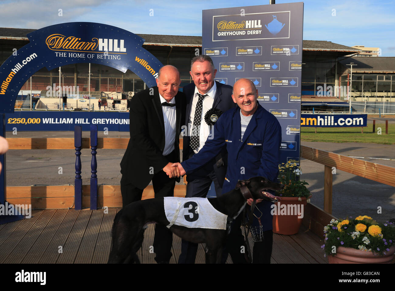 Winning Dog Ballybee Brewary with connections K.S.S. Syndicate after William Hill - Bet on the Move273 Sprint Stock Photo