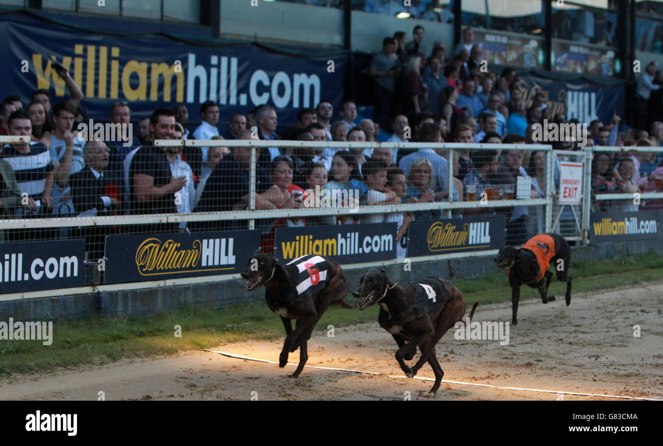 Greyhound Racing William Hill Derby Finals Wimbledon Stadium