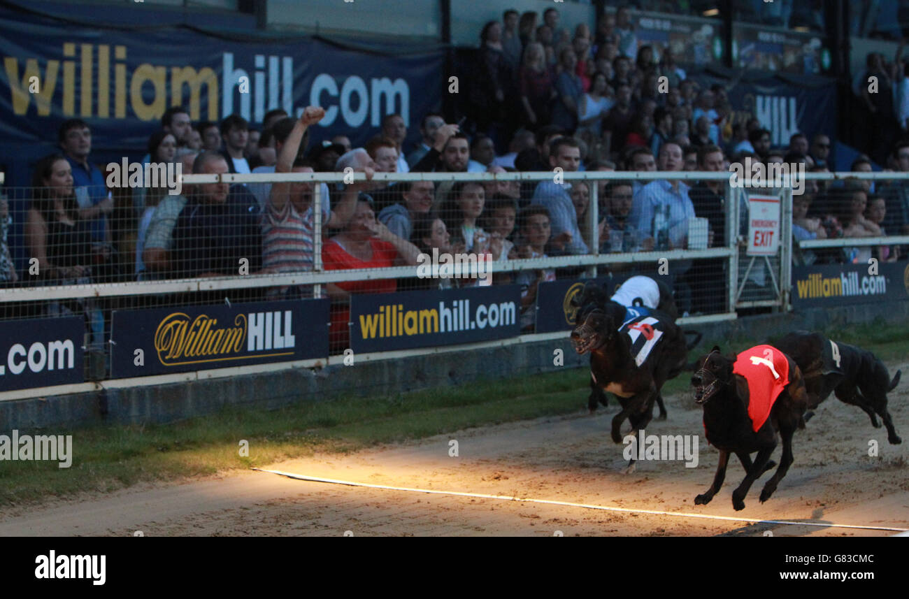 Greyhound Racing William Hill Derby Finals Wimbledon Stadium