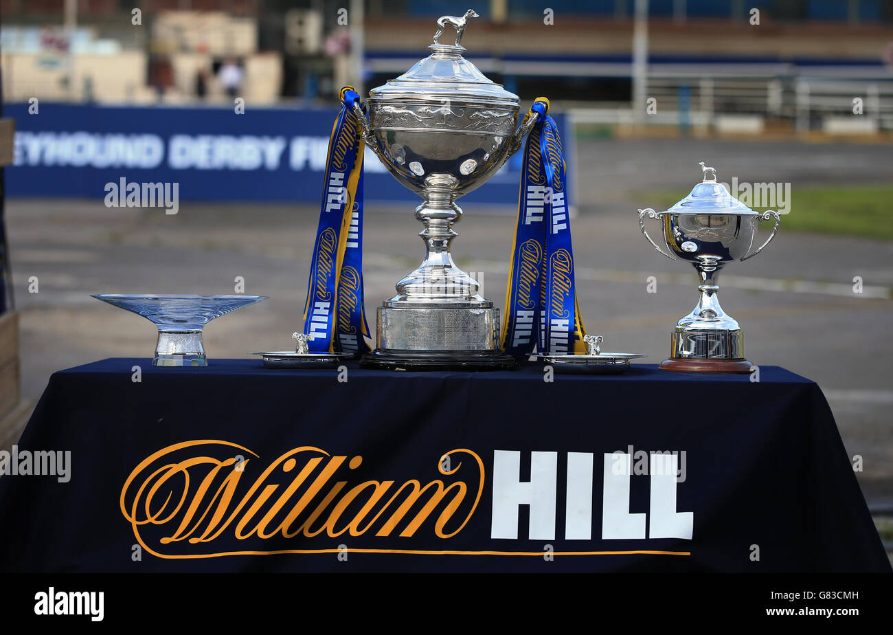 Greyhound Racing William Hill Derby Finals Wimbledon Stadium