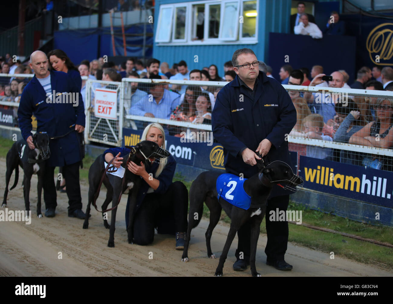 Greyhound Racing William Hill Derby Finals Wimbledon Stadium