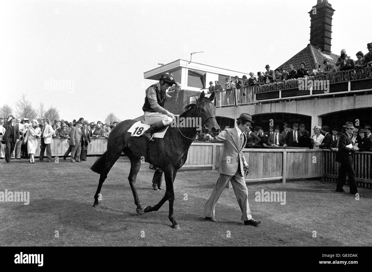 Mr Ogden Mills Phipps' Quick As Lightning, with fifth choice jockey Brian Rouse in the saddle is lead in after winning The 1000 Guineas Stakes at Newmarket. Stock Photo