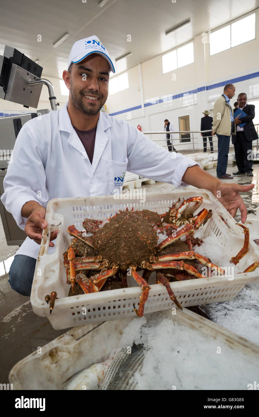 Workers buy and sell fresh seafood and fish at auction in Tifnit, near Agadir, in Morocco. Stock Photo