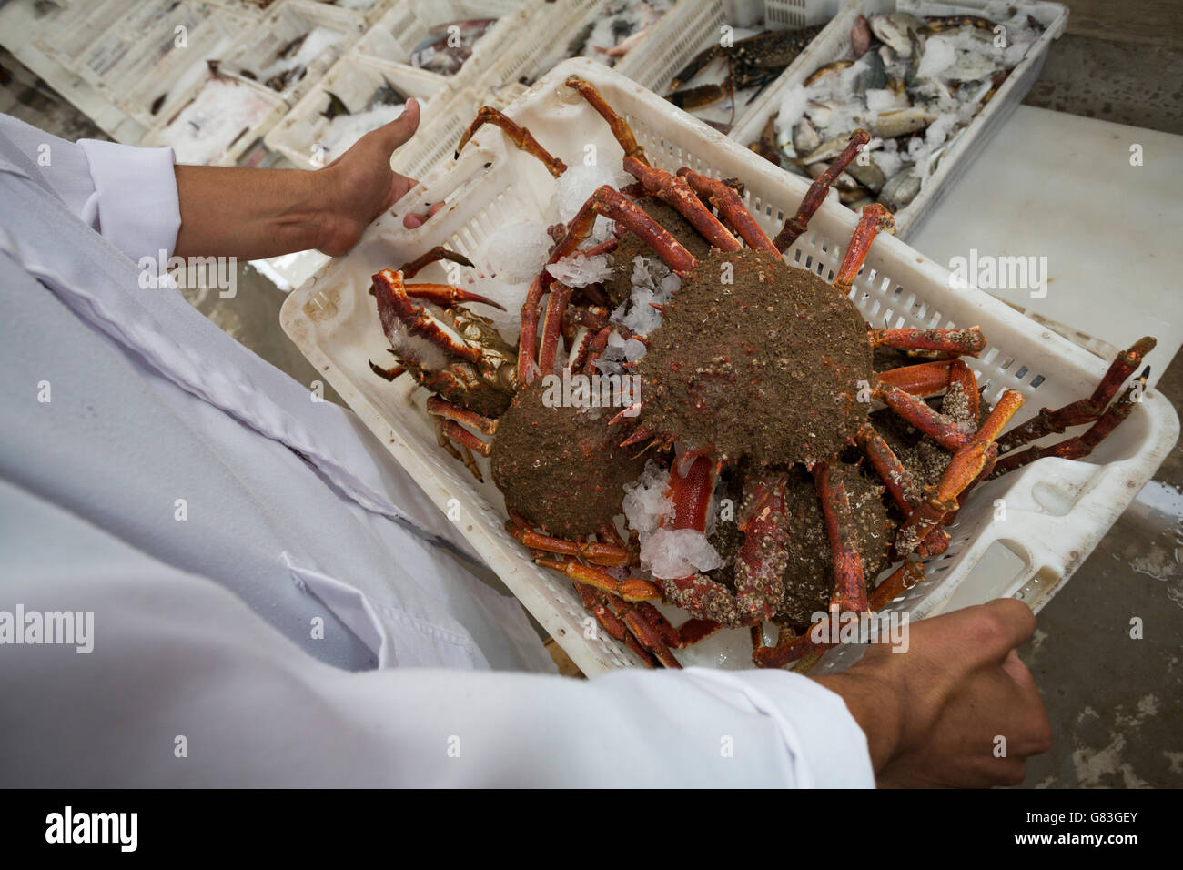 Fish factory africa hires stock photography and images Alamy