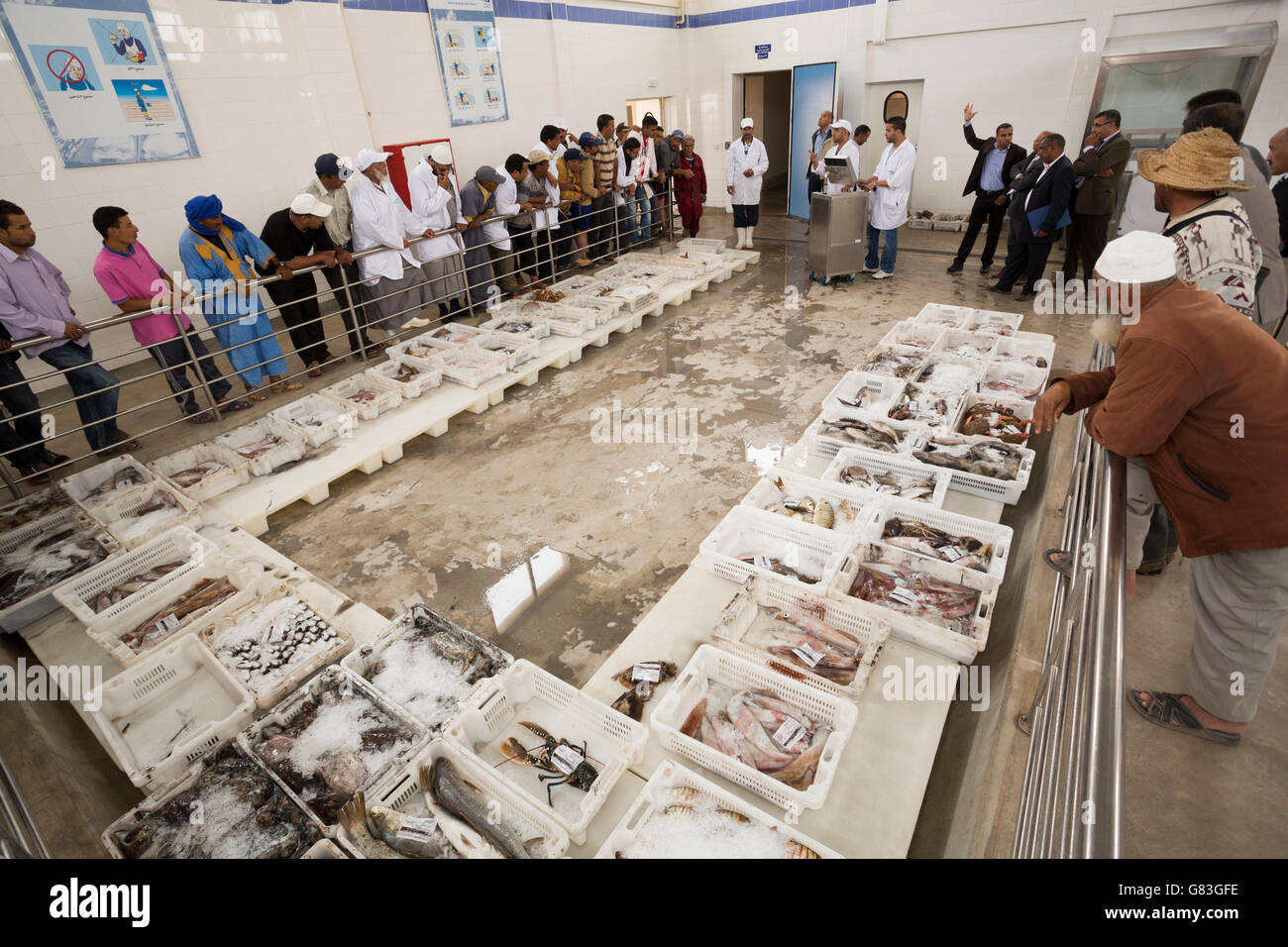 Workers buy and sell fresh seafood and fish at auction in Tifnit, near Agadir, in Morocco Stock